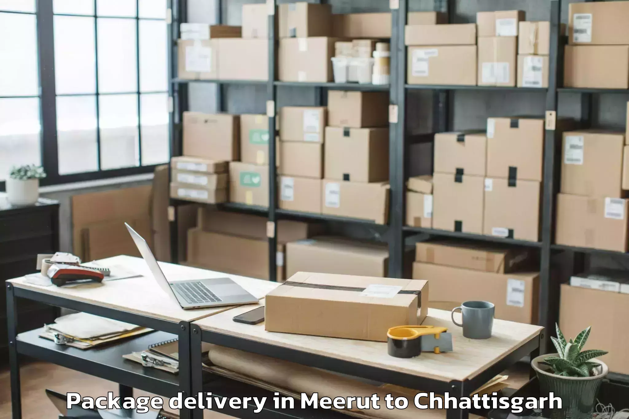 Leading Meerut to Abhanpur Package Delivery Provider